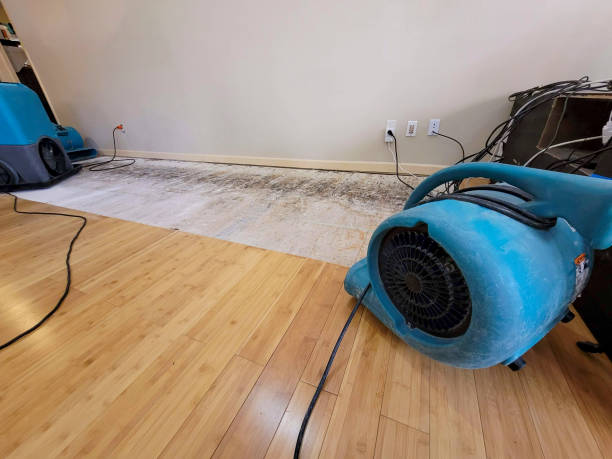 Professional Flood Damage Cleanup technician working in Spring Valley, OH